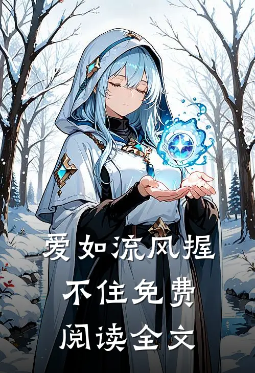爱如流风握不住免费阅读全文