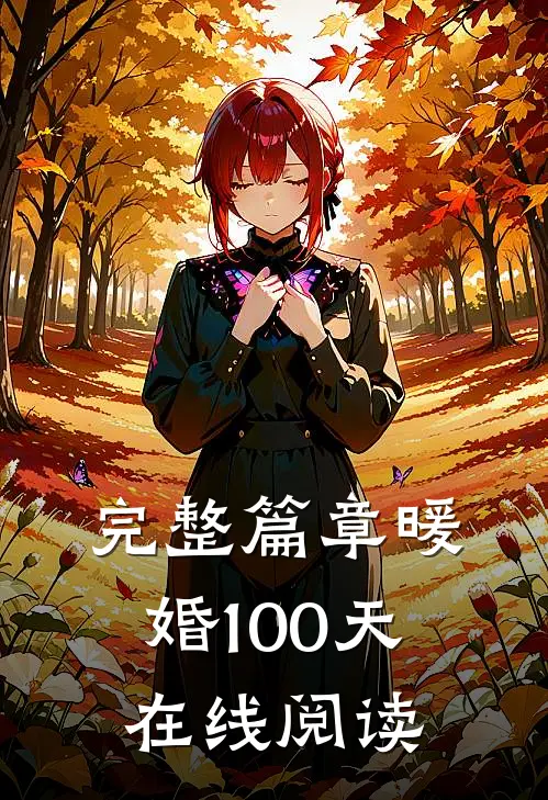 完整篇章暖婚100天在线阅读