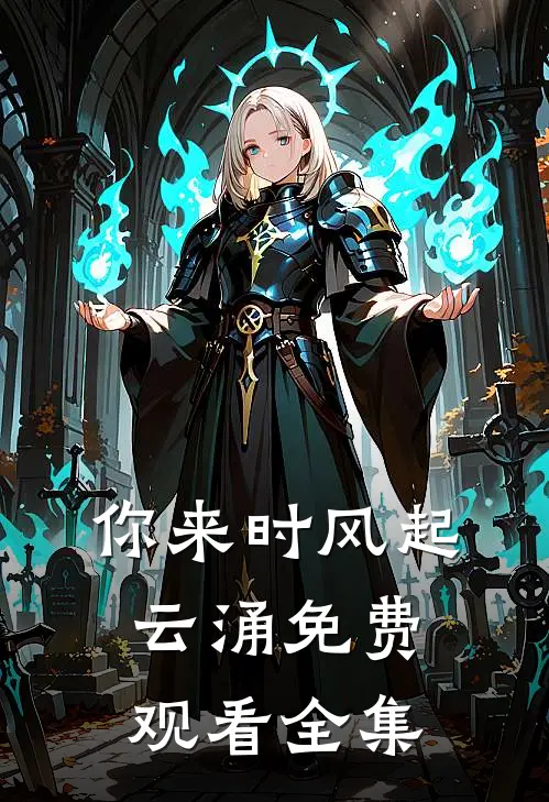 你来时风起云涌免费观看全集