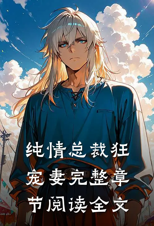纯情总裁狂宠妻完整章节阅读全文