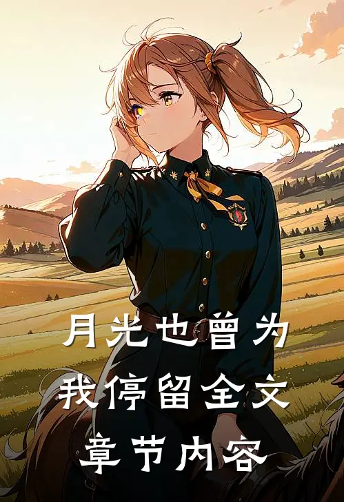 月光也曾为我停留全文章节内容