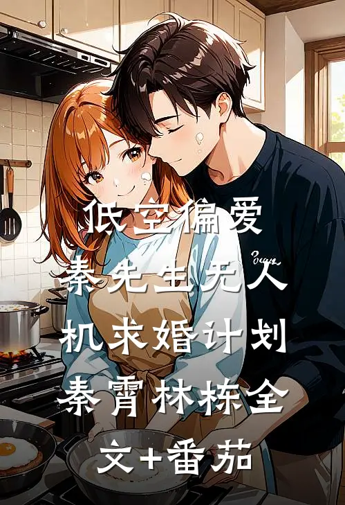 低空偏爱：秦先生无人机求婚计划秦霄林栋全文+番茄