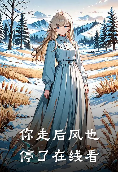 你走后风也停了在线看