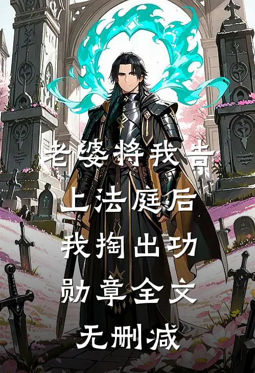 老婆将我告上法庭后，我掏出功勋章全文无删减