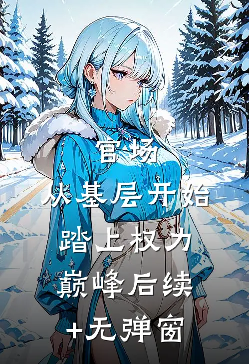 官场：从基层开始踏上权力巅峰后续+无弹窗