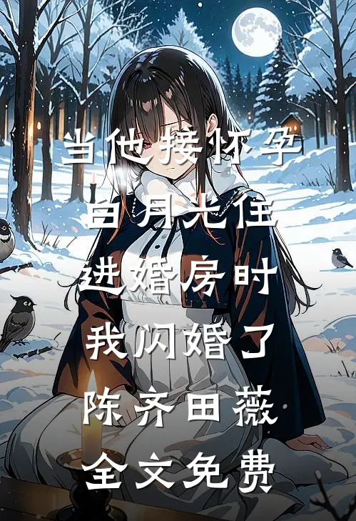 当他接怀孕白月光住进婚房时，我闪婚了陈齐田薇全文免费