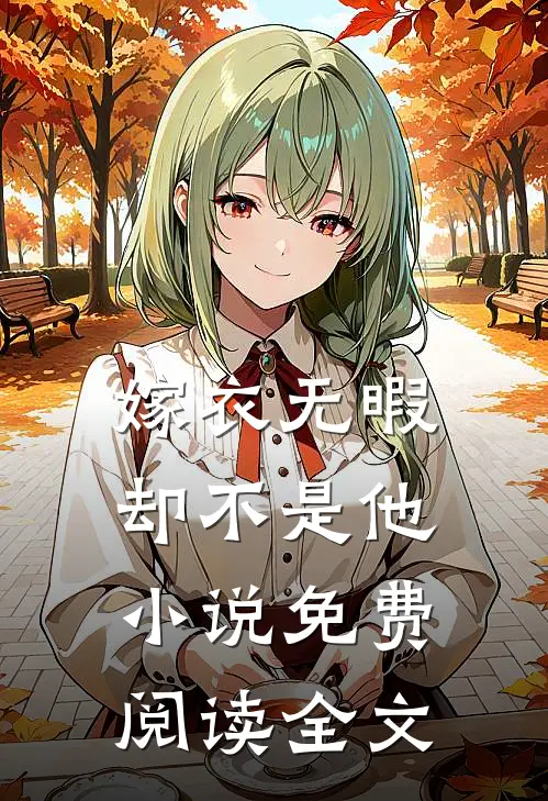 嫁衣无暇,却不是他免费阅读全文无弹窗