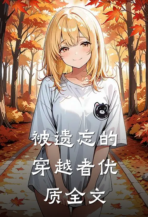 被遗忘的穿越者优质全文