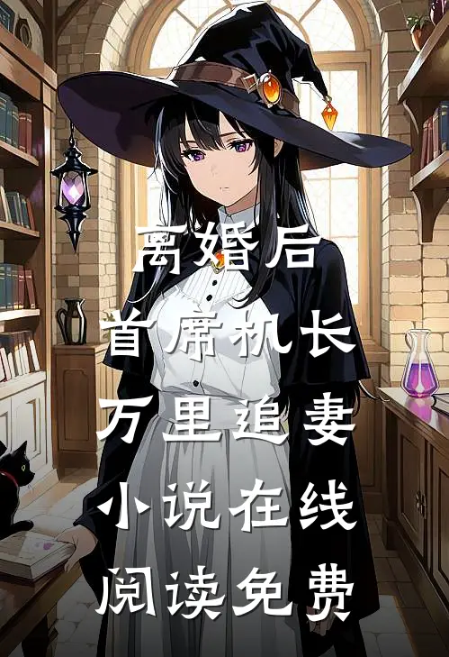 离婚后，首席机长万里追妻小说在线阅读免费
