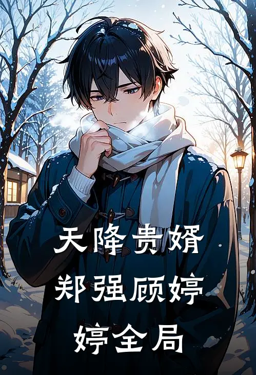 天降贵婿郑强顾婷婷全局