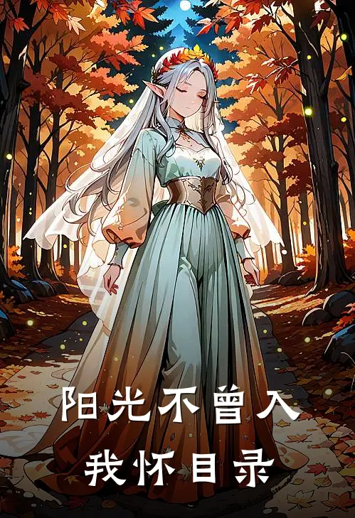 阳光不曾入我怀目录