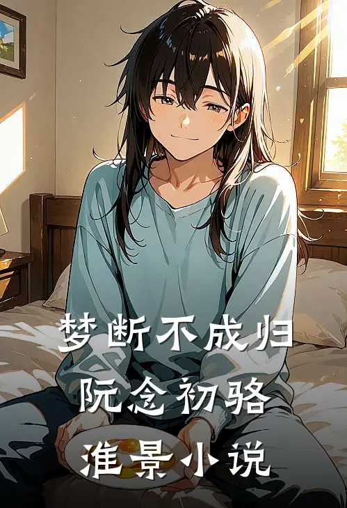 梦断不成归阮念初骆淮景小说