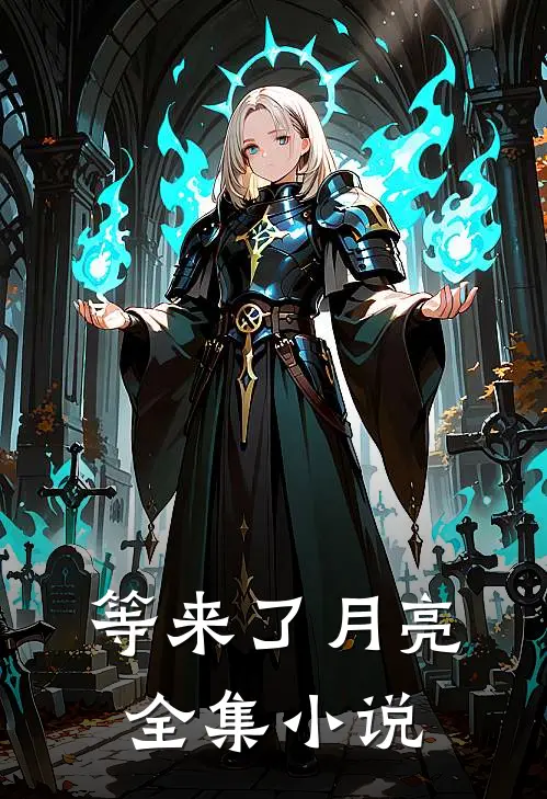 等来了月亮全集小说