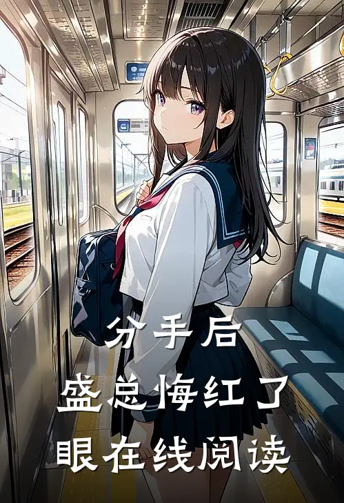 分手后，盛总悔红了眼在线阅读