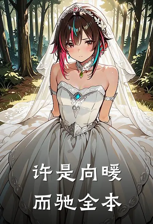 许是向暖而驰全本