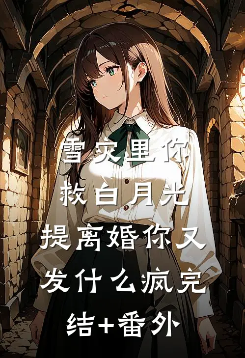 雪灾里你救白月光，提离婚你又发什么疯完结+番外