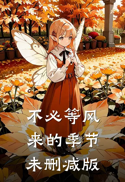 不必等风来的季节未删减版