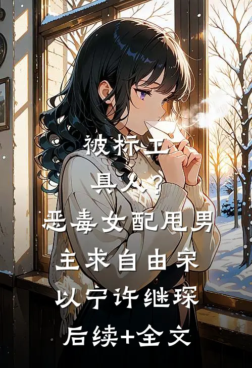被标工具人？恶毒女配甩男主求自由宋以宁许继琛后续+全文