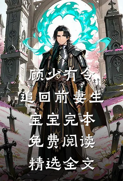 顾少有令:追回前妻生宝宝完本免费阅读精选全文