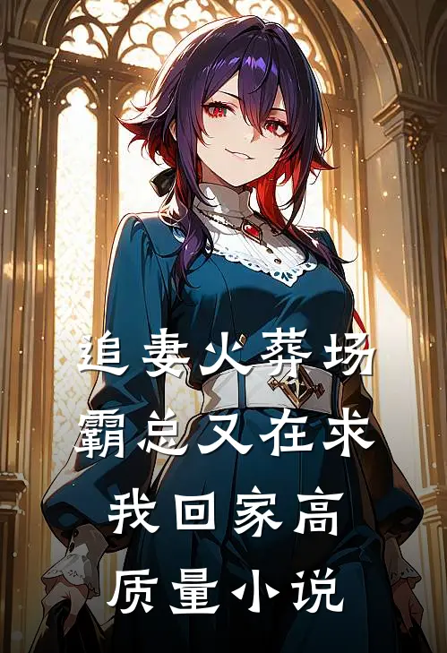 追妻火葬场：霸总又在求我回家高质量小说