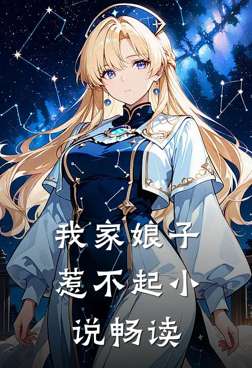 我家娘子惹不起小说畅读