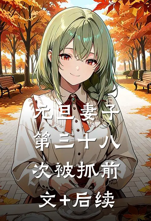 元旦妻子第三十八次被抓前文+后续