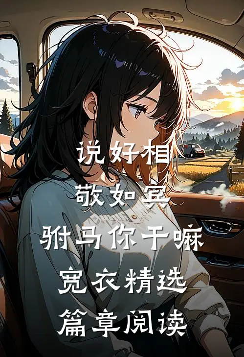 说好相敬如宾，驸马你干嘛宽衣精选篇章阅读