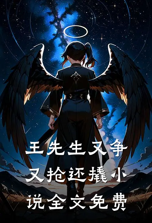 王先生又争又抢还撬小说全文免费