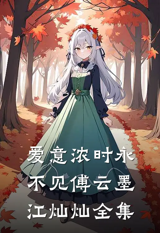 爱意浓时永不见傅云墨江灿灿全集