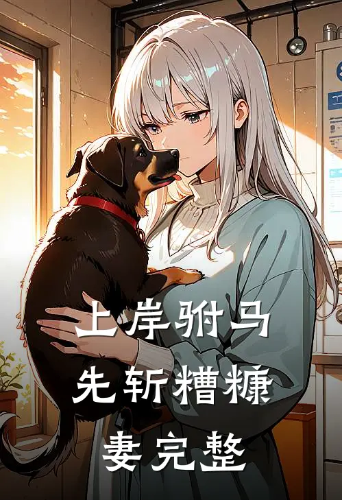 上岸驸马，先斩糟糠妻完整