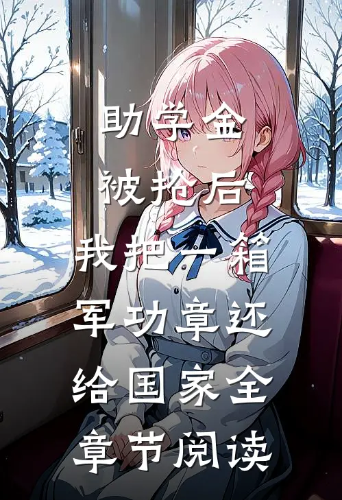助学金被抢后，我把一箱军功章还给国家全章节阅读