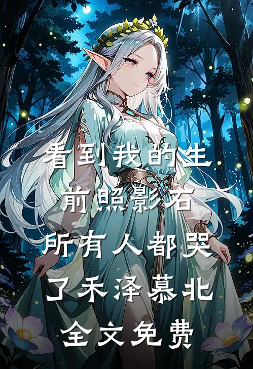看到我的生前照影石，所有人都哭了禾泽慕北全文免费