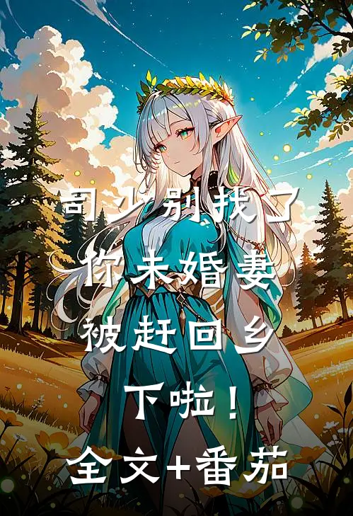 司少别找了，你未婚妻被赶回乡下啦！全文+番茄