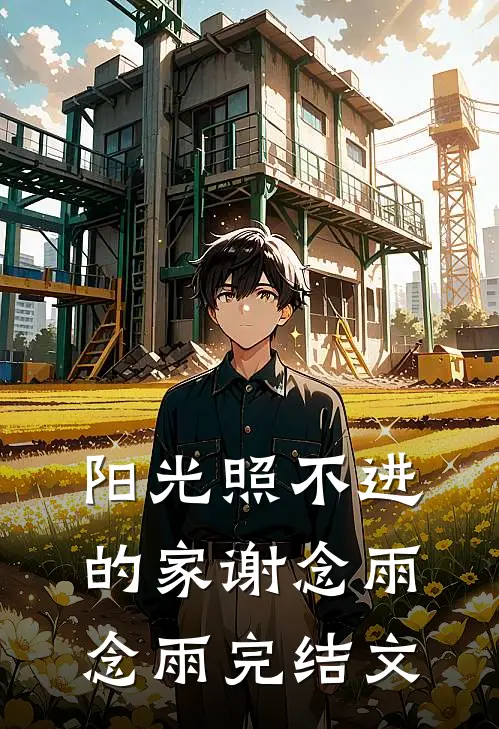 阳光照不进的家谢念雨念雨完结文