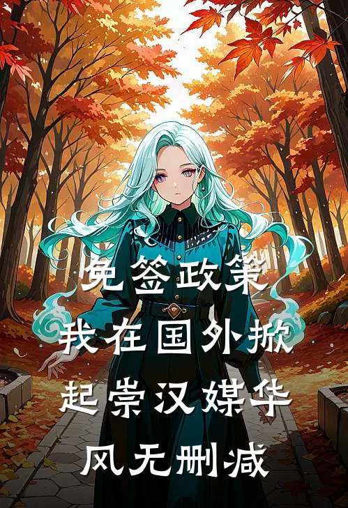 免签政策，我在国外掀起崇汉媒华风无删减