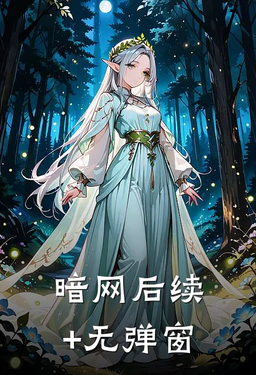暗网后续+无弹窗