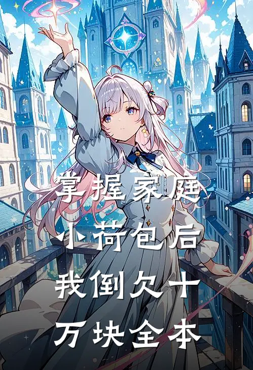 掌握家庭小荷包后，我倒欠十万块全本