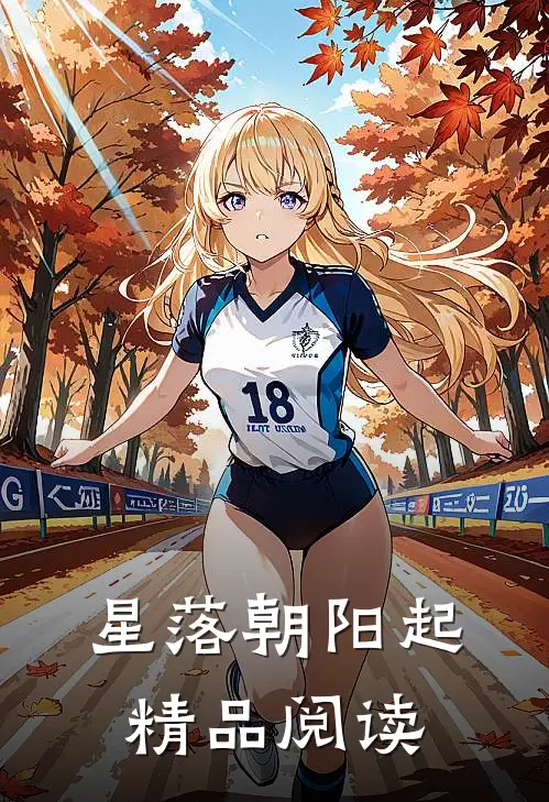 星落朝阳起精品阅读