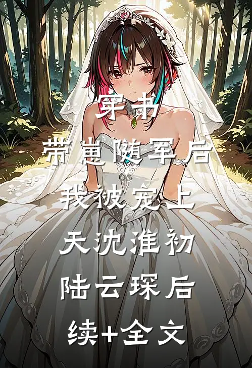 穿书：带崽随军后我被宠上天沈淮初陆云琛后续+全文