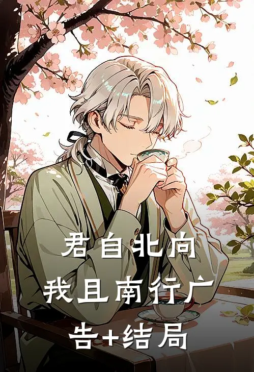 君自北向,我且南行广告+结局