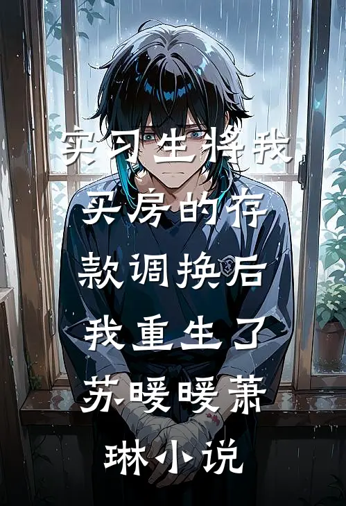 实习生将我买房的存款调换后，我重生了苏暖暖萧琳小说