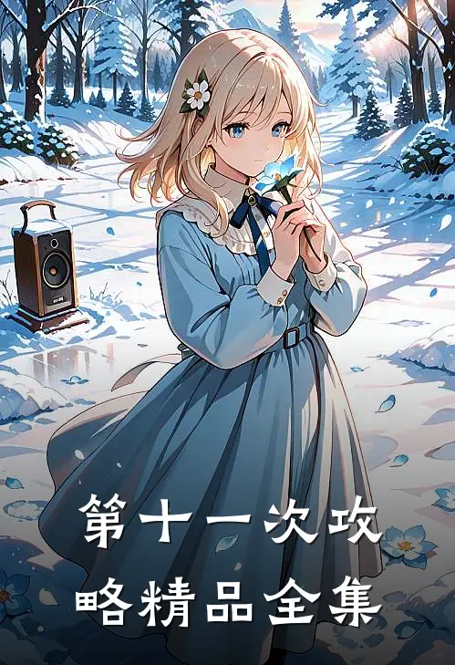 第十一次攻略精品全集