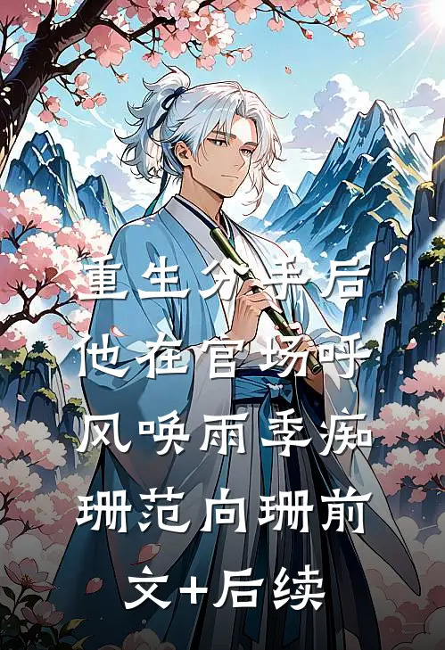 重生分手后，他在官场呼风唤雨季痴珊范向珊前文+后续