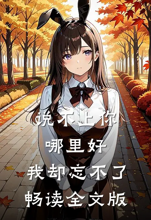 说不上你哪里好，我却忘不了畅读全文版