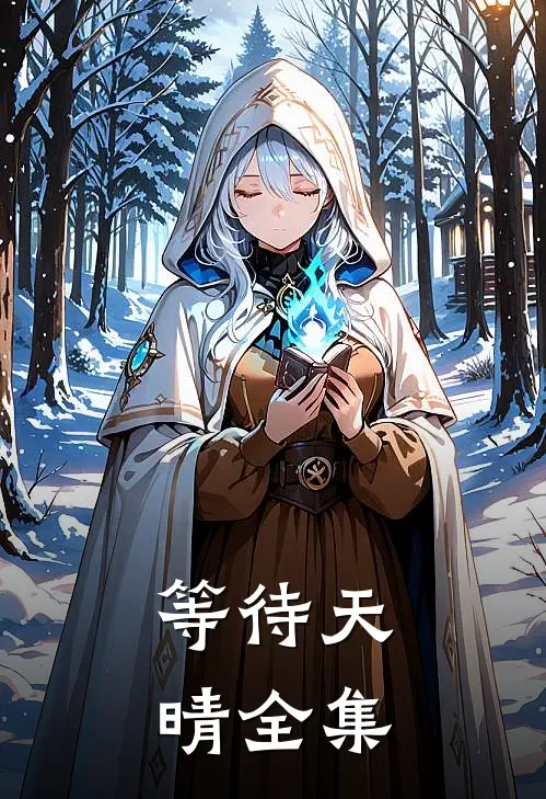等待天晴全集