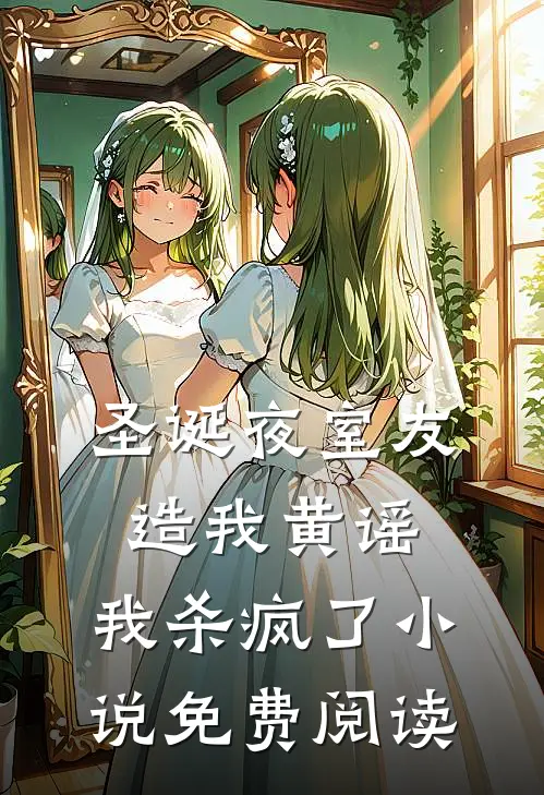 圣诞夜室友造我黄谣，我杀疯了小说免费阅读