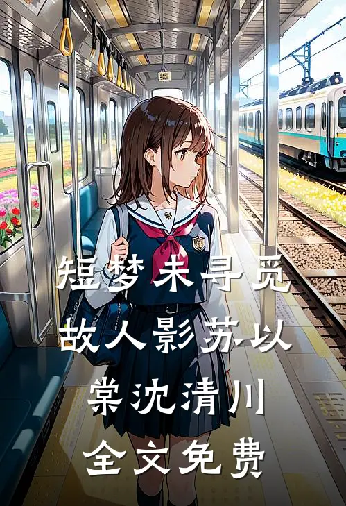 短梦未寻觅故人影苏以棠沈清川全文免费