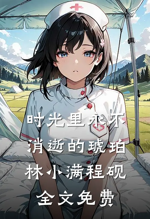 时光里永不消逝的琥珀林小满程砚全文免费