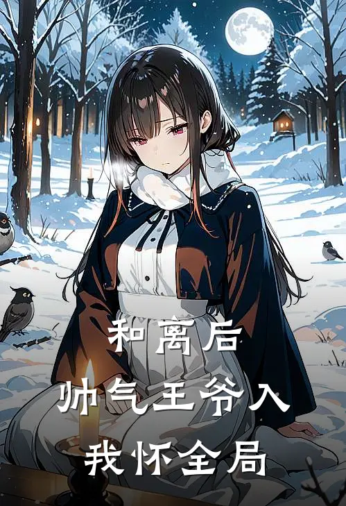和离后，帅气王爷入我怀全局