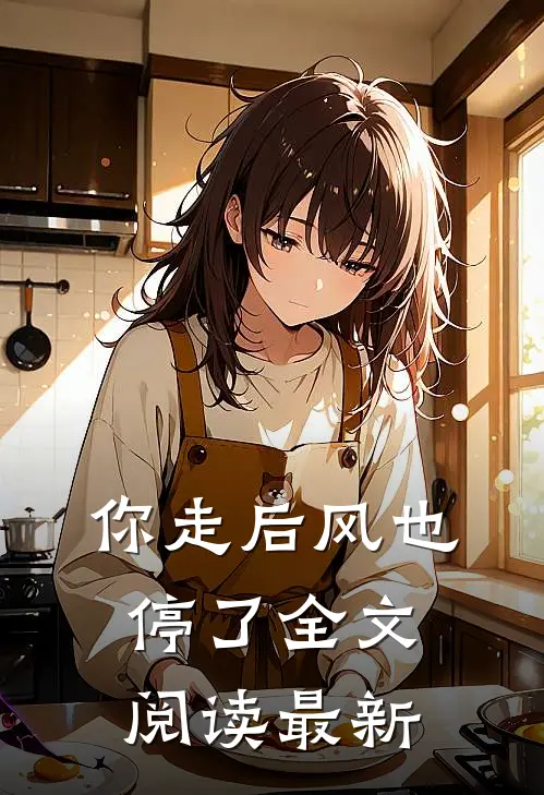 你走后风也停了全文阅读最新